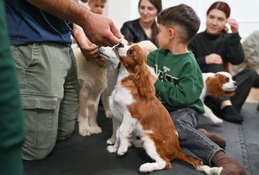 Puppy Yoga
